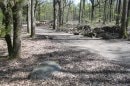 Forêt de la Roche Turpin